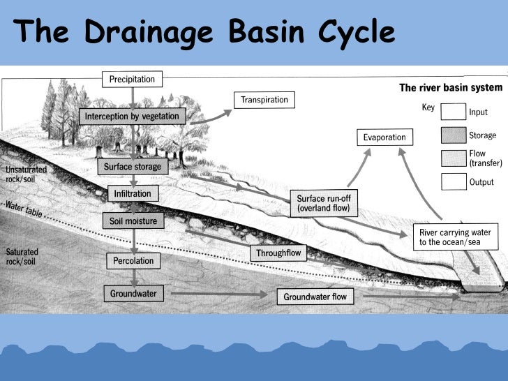 basin diagram the drainage basin basin diagram the drainage basin