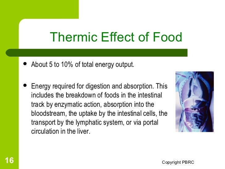 The energy balancing act Unit 1