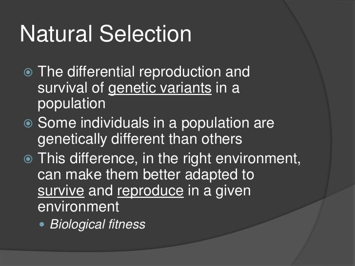 Concept Of Natural Selection Given By Darwin Concept Of Natural Selection Given By Darwin