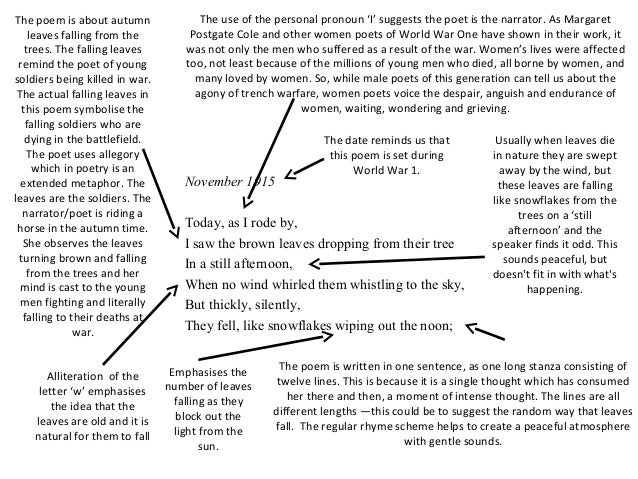 Consumerism Essays