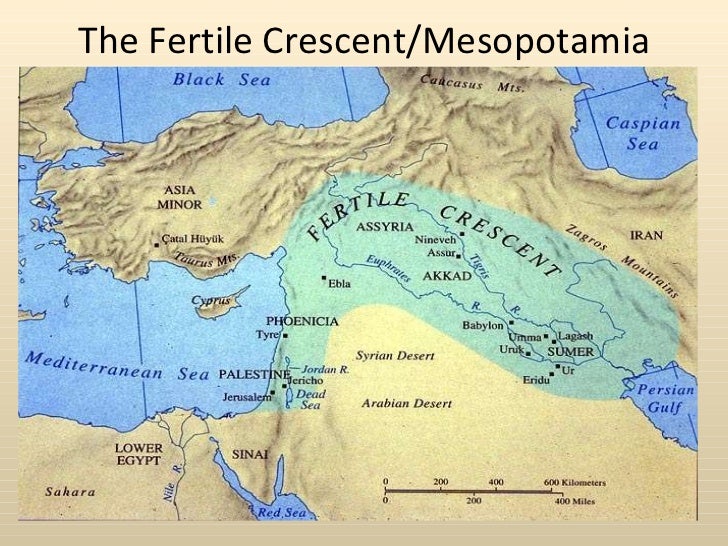 The fertile crescent