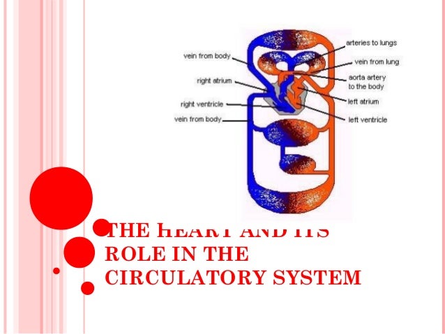 price system and its role and function In economics, a price system is a component of any economic system that uses prices expressed in any form of money for the valuation and distribution of goods and services and the factors of production except for possible remote and primitive communities, all modern societies use price systems to allocate resources, although price systems are. price system and its role and function In economics, a price system is a component of any economic system that uses prices expressed in any form of money for the valuation and distribution of goods and services and the factors of production except for possible remote and primitive communities, all modern societies use price systems to allocate resources, although price systems are.
