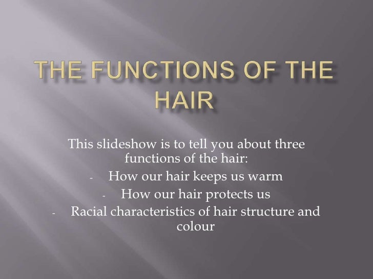hair of the the functions of the hair hair of the the functions of the hair