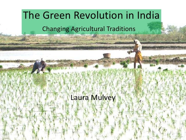 Essay writing on green revolution