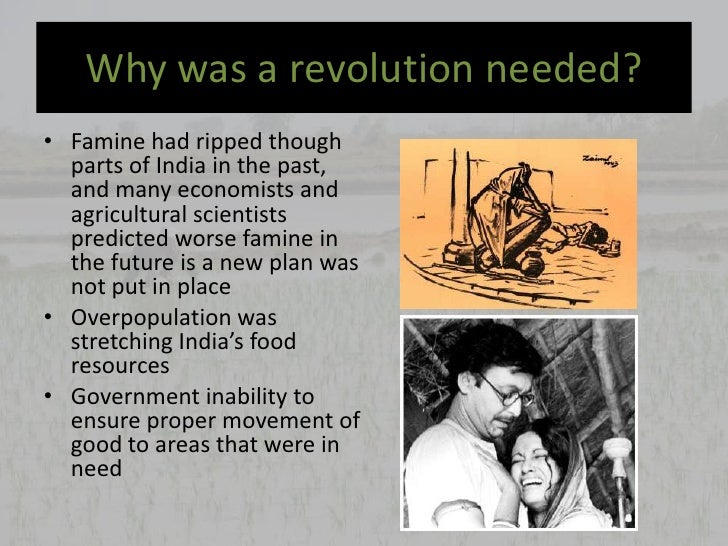 Green revolution essay