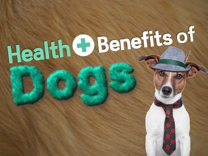 benefits of dogs the health benefits of dogs benefits of dogs the health benefits of dogs