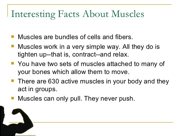 The human body systems1