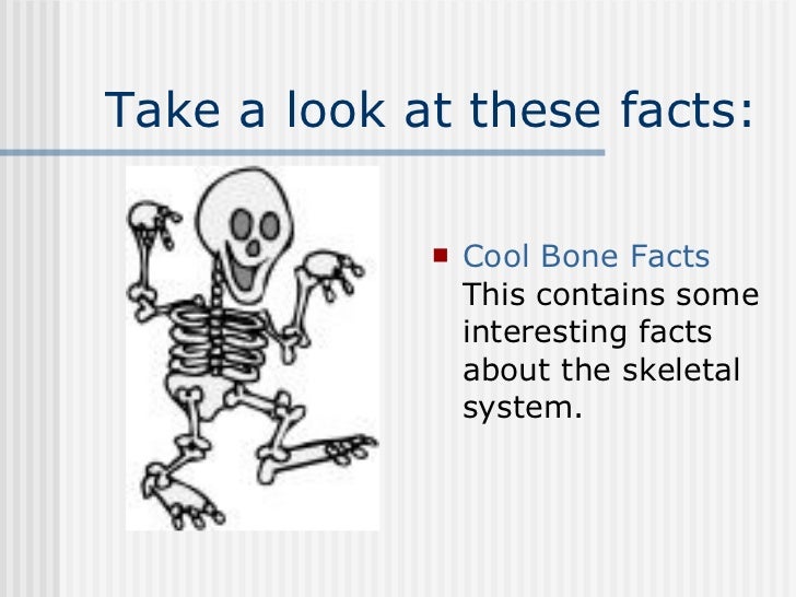 human body anatomy movie human body anatomy movie