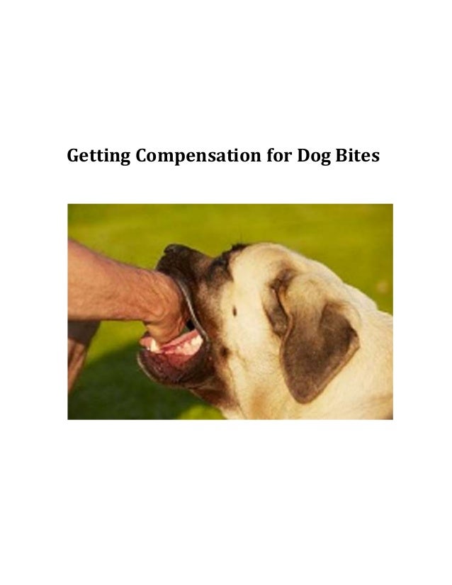 Homeowners Insurance In Ohio With Dog Bite Homeowners Insurance In Ohio With Dog Bite