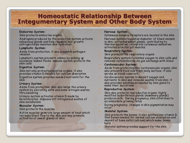 The integumentary system (slide show)
