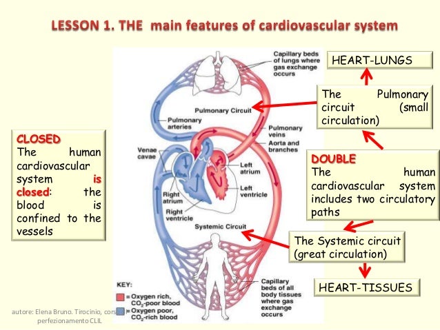 rhabdomyolysis dialysis remedy