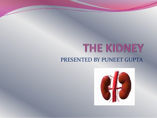 kidneys-ppt
