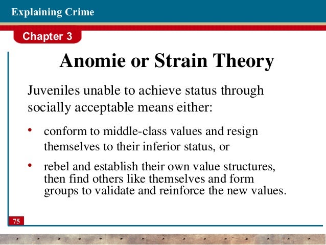 Modern Strain Theory And Institutional Anomie Theory