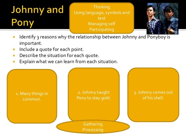 compare and contrast essay for the outsiders compare and contrast essay for the outsiders