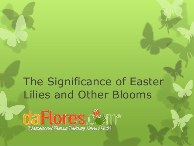 what is significance of easter the significance of easter lilies and other blooms what is significance of easter the significance of easter lilies and other blooms