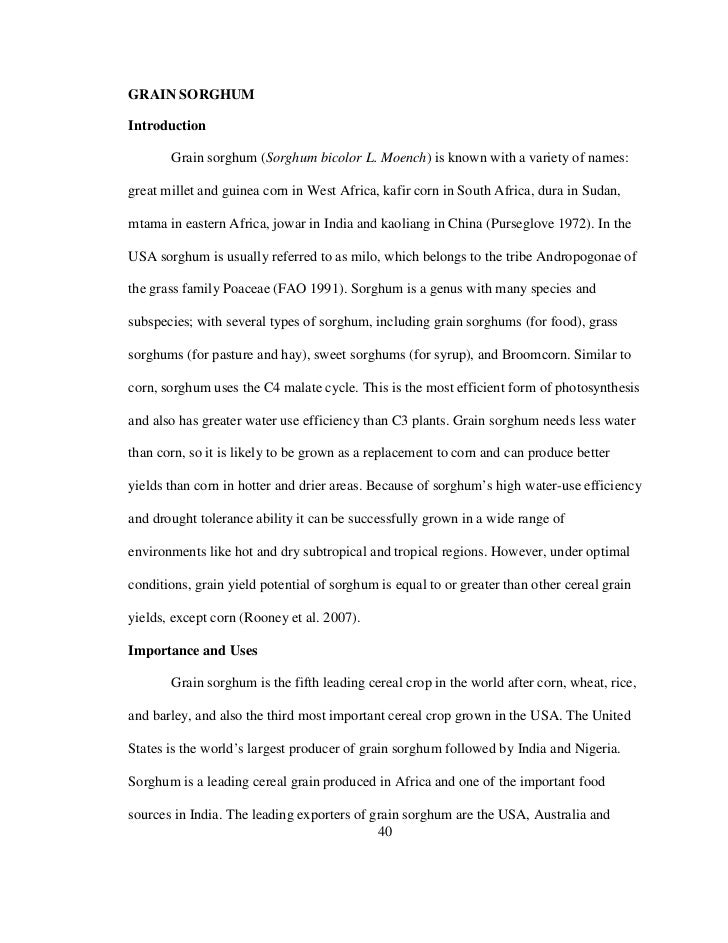 Doctoral Thesis