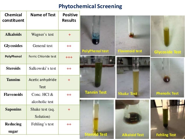 polyphenols thesis polyphenols thesis