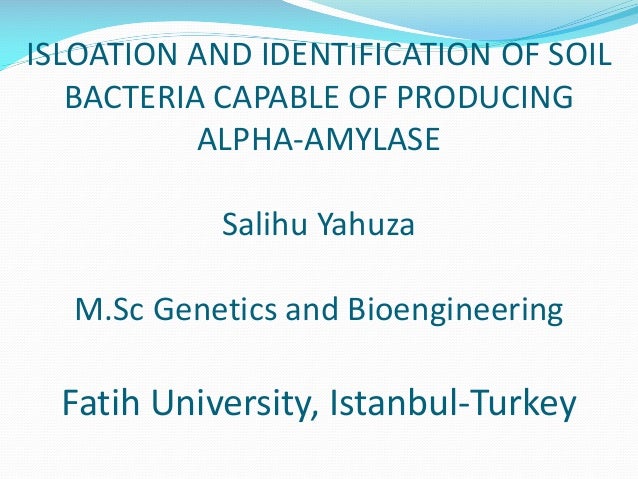 Buy my thesis