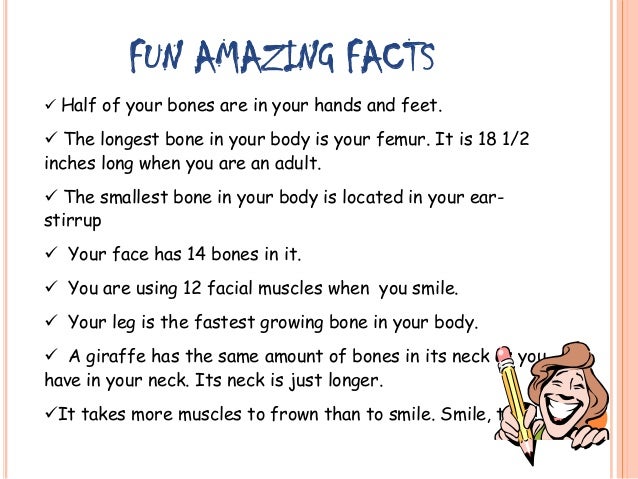 how to tak care skeletal, muscular and digestive system essay 5 ways to keep your skeletal system healthy step 1 – eat foods with vitamin d to assist in calcium absorption adults need 15 mcg of vitamin d a day foods with . how to tak care skeletal, muscular and digestive system essay 5 ways to keep your skeletal system healthy step 1 – eat foods with vitamin d to assist in calcium absorption adults need 15 mcg of vitamin d a day foods with .