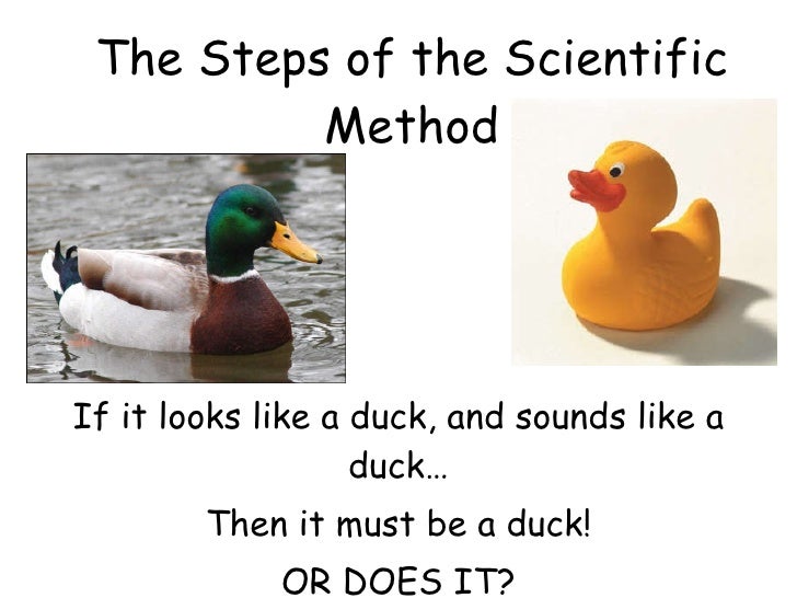 how to write a scientific proposal how to write a scientific proposal