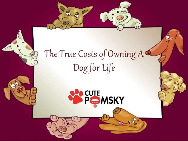 average cost of owning a the true costs of owning a for average cost of owning a the true costs of owning a for