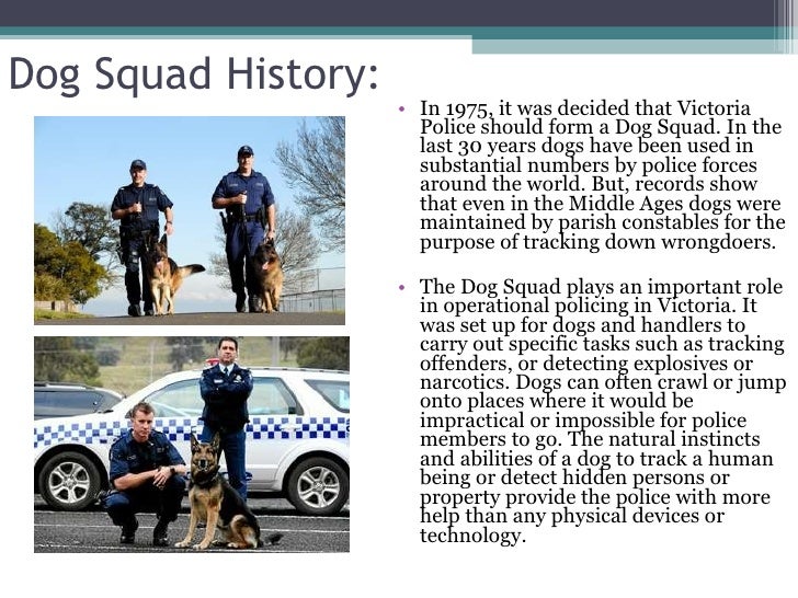 the role of the dogs in the police force Law enforcement canine use-of-force research i canine stated that the use of the dog was appropriate and was not the use of deadly force however, the dog was not the use of deadly force because of a lack of plaintiff police dog after the suspect was handcuffed was a fourth amendment or. the role of the dogs in the police force Law enforcement canine use-of-force research i canine stated that the use of the dog was appropriate and was not the use of deadly force however, the dog was not the use of deadly force because of a lack of plaintiff police dog after the suspect was handcuffed was a fourth amendment or.
