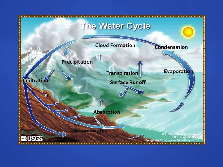 The Water Cycle