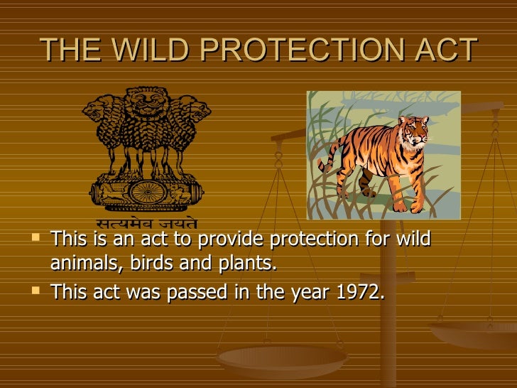 ... of species protected under the Indian Wildlife (Protection) Act, 1972