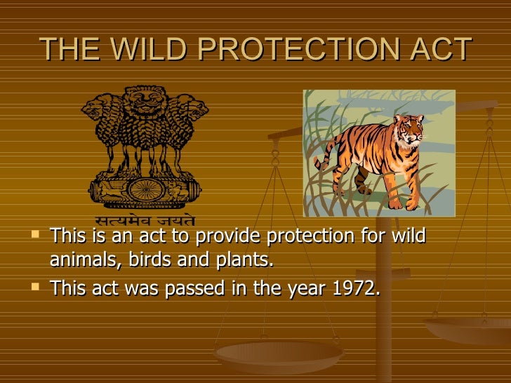 Essay about protecting wild animals