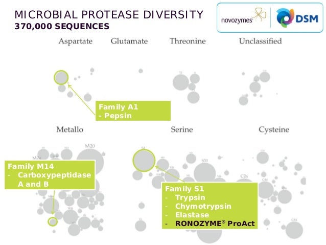 b carboxypeptidase protocol