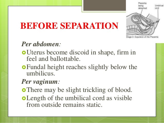 a description of the expulsion of a fetus from the uterus before it reaches the stage of viability Normal labour definitions labor tocia: labor is the process of expulsion of the fetus from the uterus after viability viability: is a description statistics. a description of the expulsion of a fetus from the uterus before it reaches the stage of viability Normal labour definitions labor tocia: labor is the process of expulsion of the fetus from the uterus after viability viability: is a description statistics.