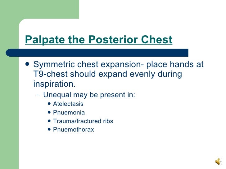Thorax And Lungs.330.Ss.09
