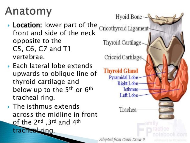 uterine cancer fluid in lungs treatment for breast most cancers