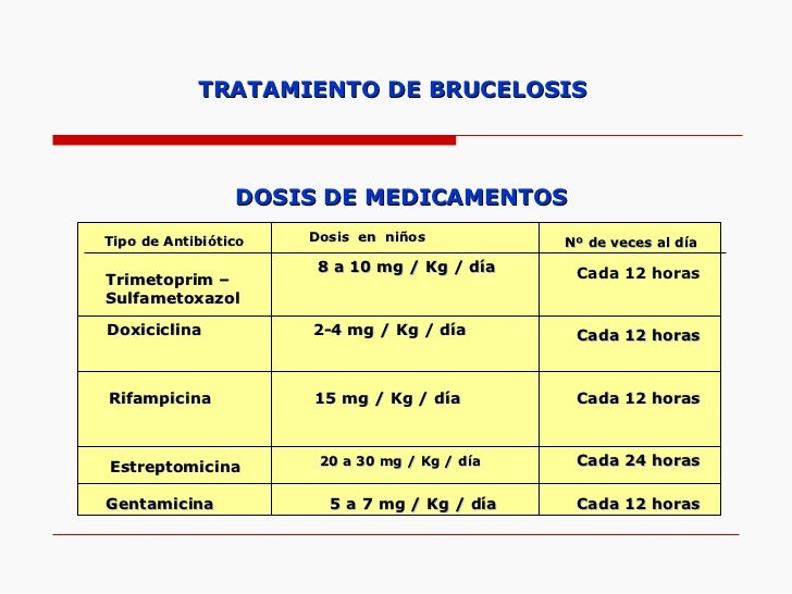 Tifoidea Y Brucelosis 2008