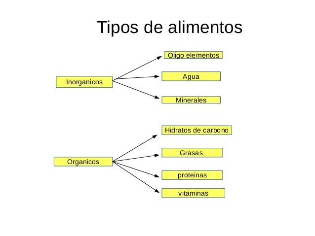 grafica de tipos de alimentos grafica de tipos de alimentos