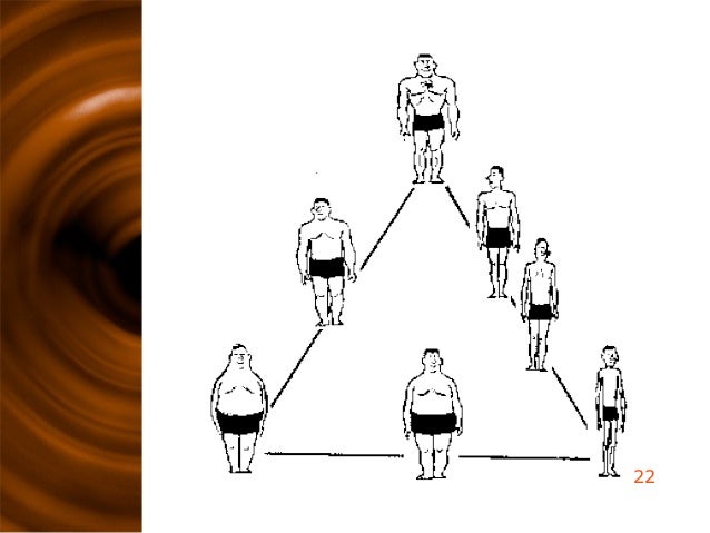 Ectomorfo - Mesomorfo - Endomorfo: ¿ Cual es tu biotipo Ectomorfo - Mesomorfo - Endomorfo: ¿ Cual es tu biotipo