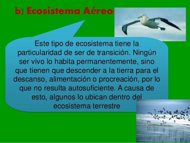 tipos de ecosistemas en el peru 5to primaria tipos de ecosistemas en el peru 5to primaria