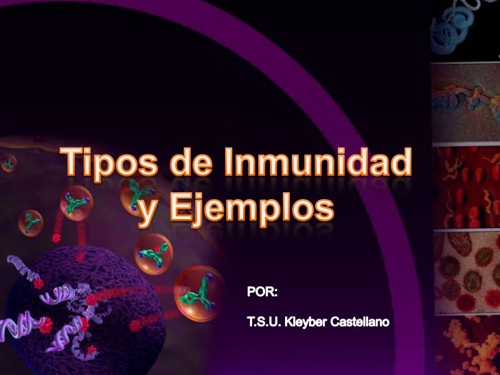 TIPOS DE CASTELLANO tipos de castellano: