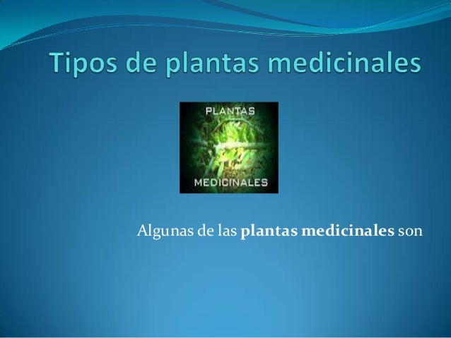 Tipos de plantas medicinales Tipos de plantas medicinales