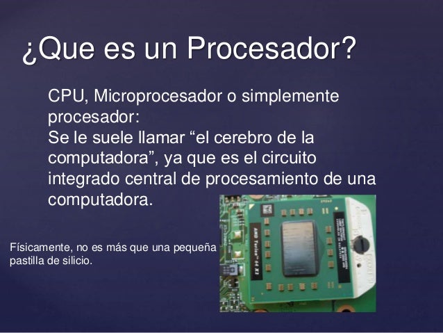 Fichas de productos