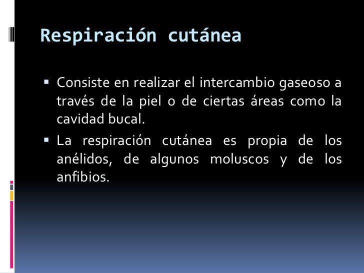 El modo gratuito de adelgazar rápidamente