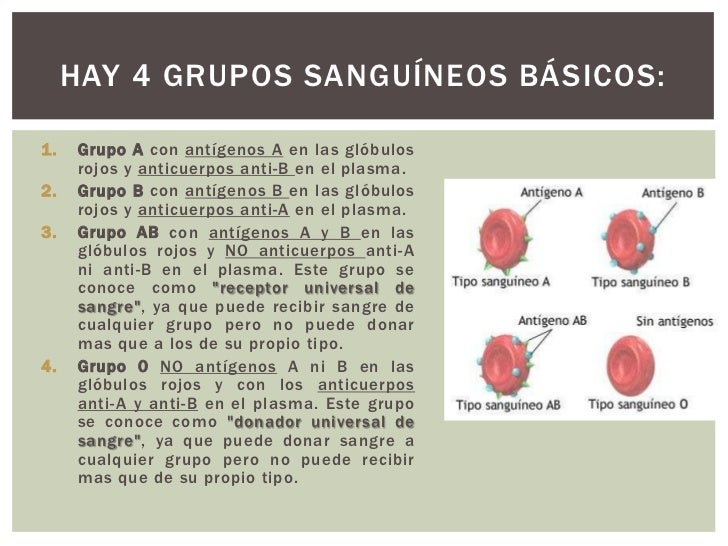 El libro sobre una alimentación fraccionada para el adelgazamiento