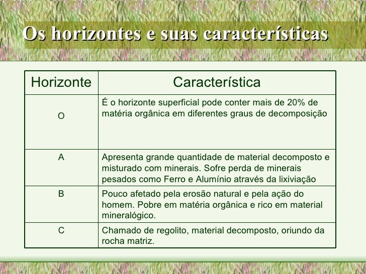 Tipos de solos Tipos de solos