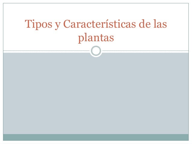 Tipos y características de las plantas final fantasy x Tipos y características de las plantas final fantasy x