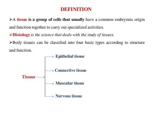 Tissues Tissues 3 638 