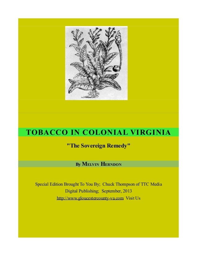 Tobacco In Colonial Virginia