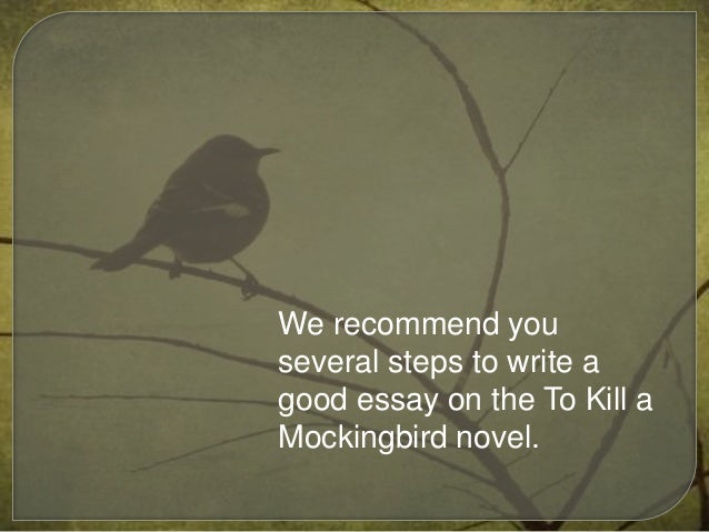 To kill a mockingbird essay questions part 2