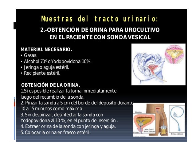 El alcoholismo la narcomanía el tratamiento