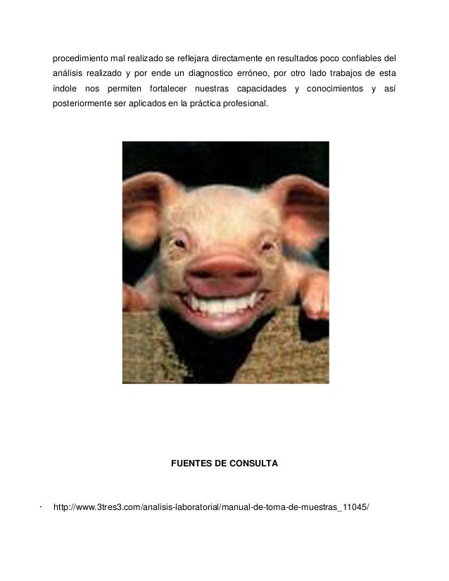Toma de muestras en cerdos Toma de muestras en cerdos