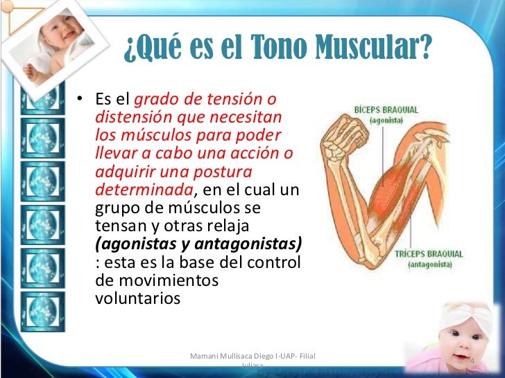 Tono muscular evaluación claudine amiel tison y albert grenier Tono muscular evaluación claudine amiel tison y albert grenier